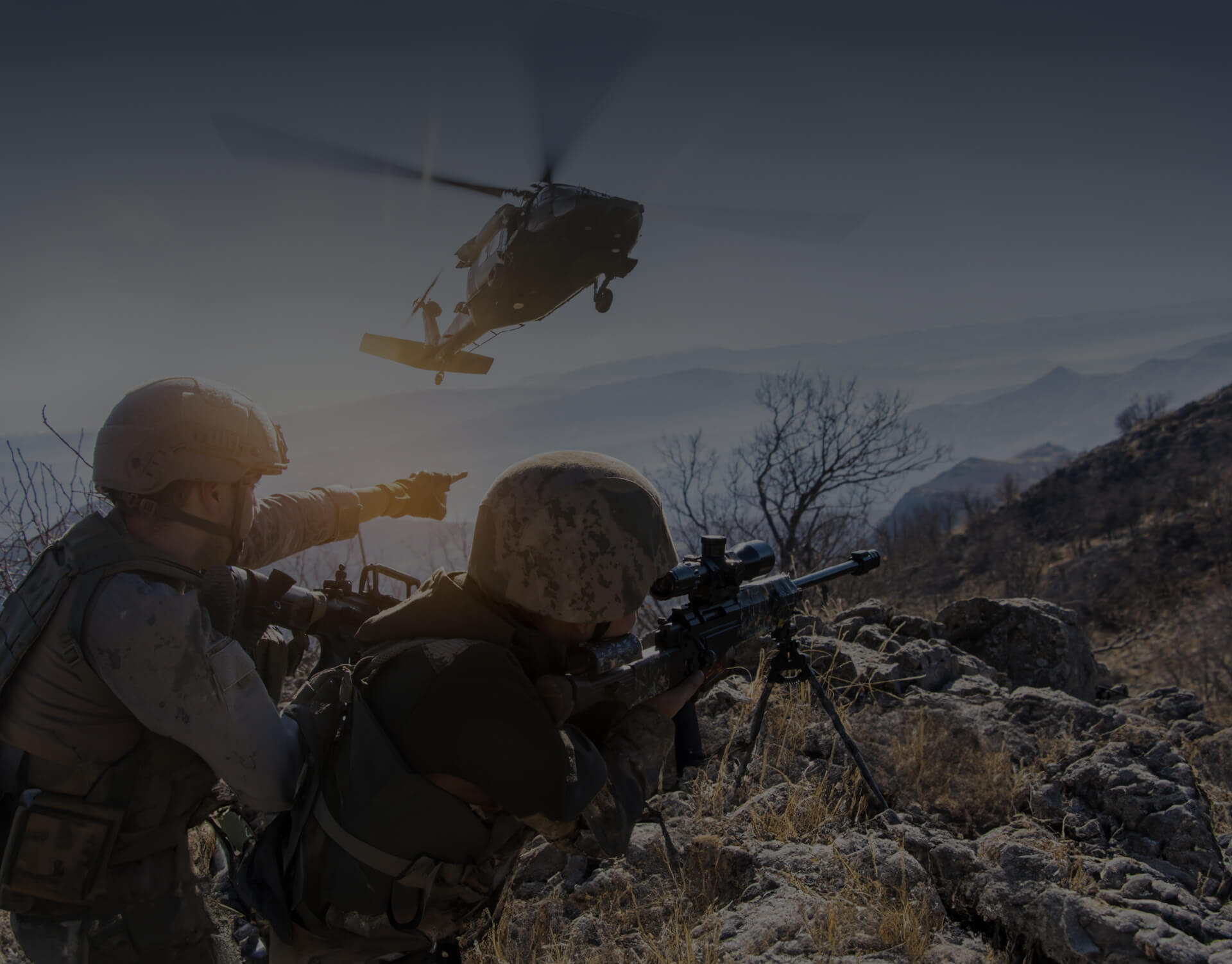 Parallax Image